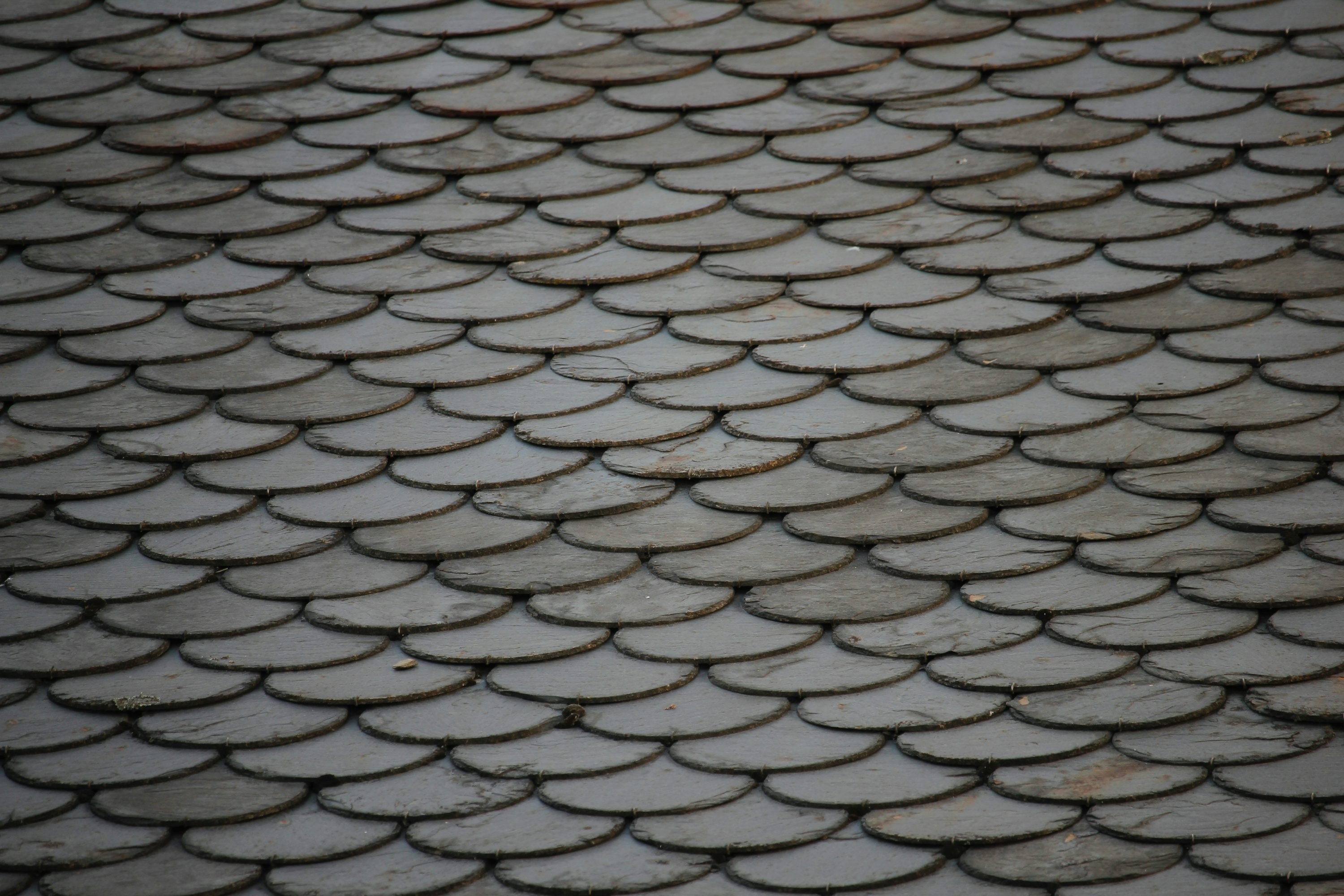 Slate Roofing - image 4